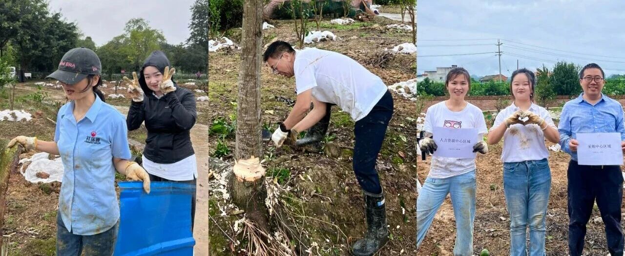 d42162b6d86e8e2a930b712d4bacb3f2.jpg d42162b6d86e8e2a930b712d4bacb3f2.jpg