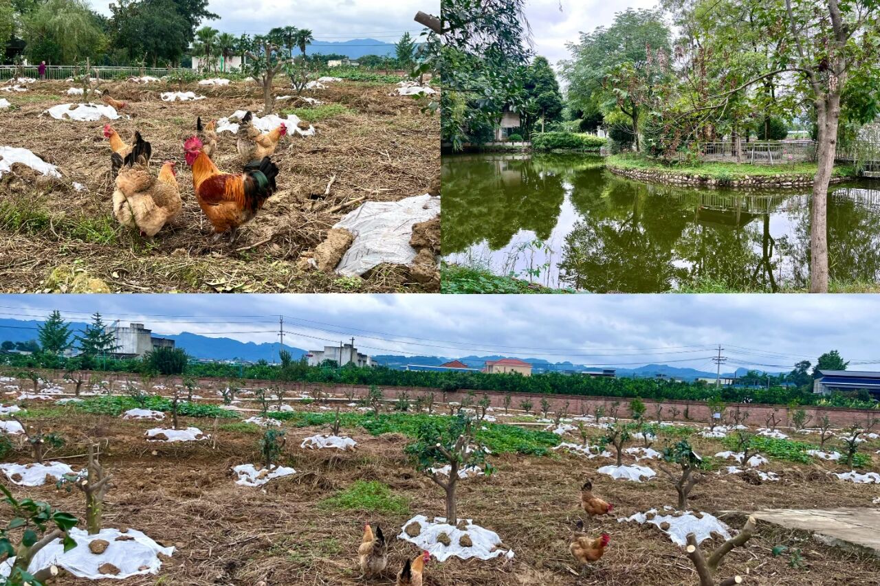 480dd6e8505067e2bcae2de5f1cce586.jpg 480dd6e8505067e2bcae2de5f1cce586.jpg